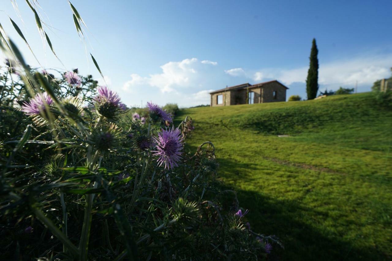 Marrucheti 82 Villa Campagnatico Exterior foto